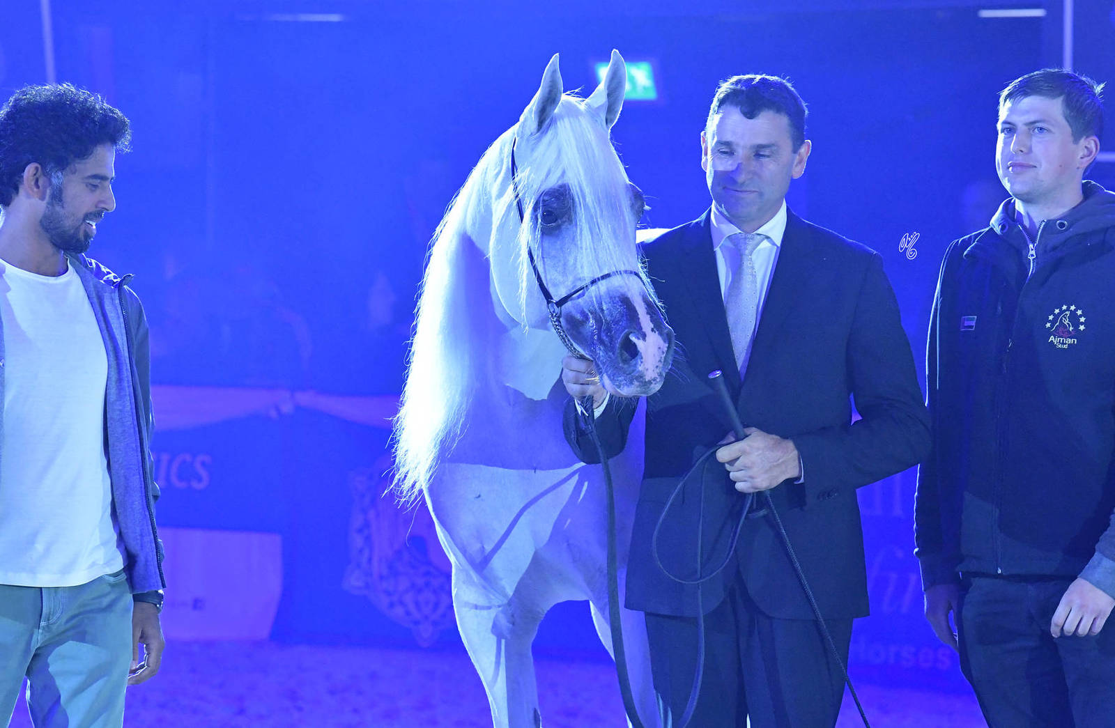Senior Stallion Gold Champion: Shanghai EA (WH Justice X Salymah EA)