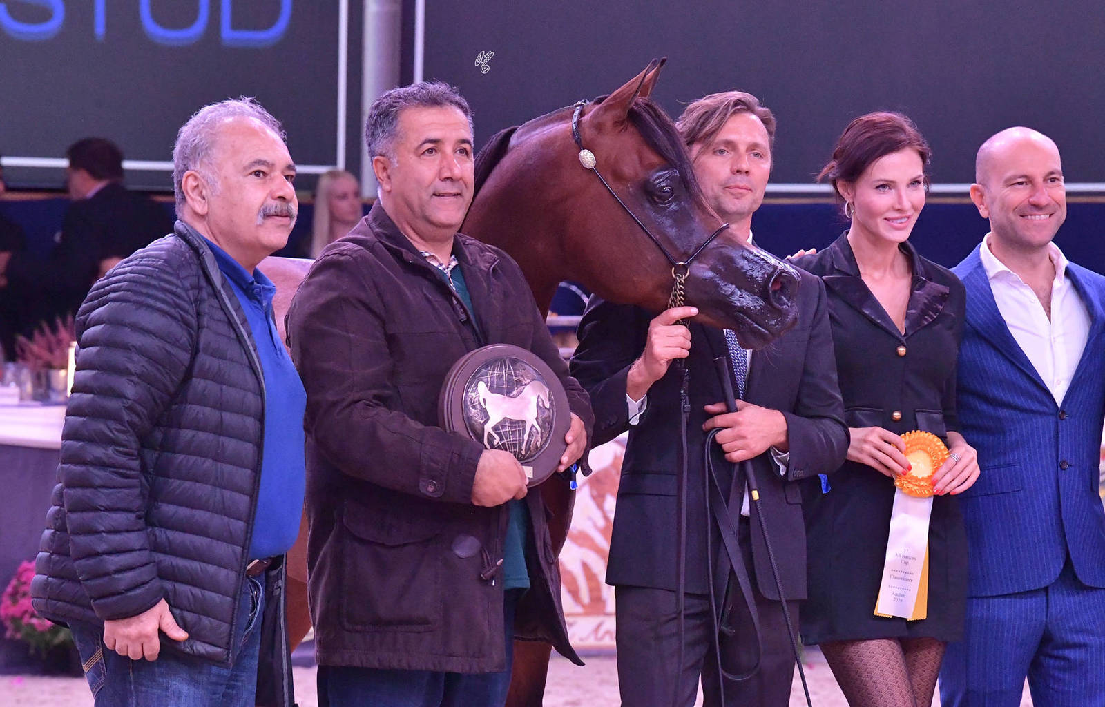 Senior Stallion Silver Champion: Shadi Al Khalediah (F Shamaal X Layan Al Khalediah)