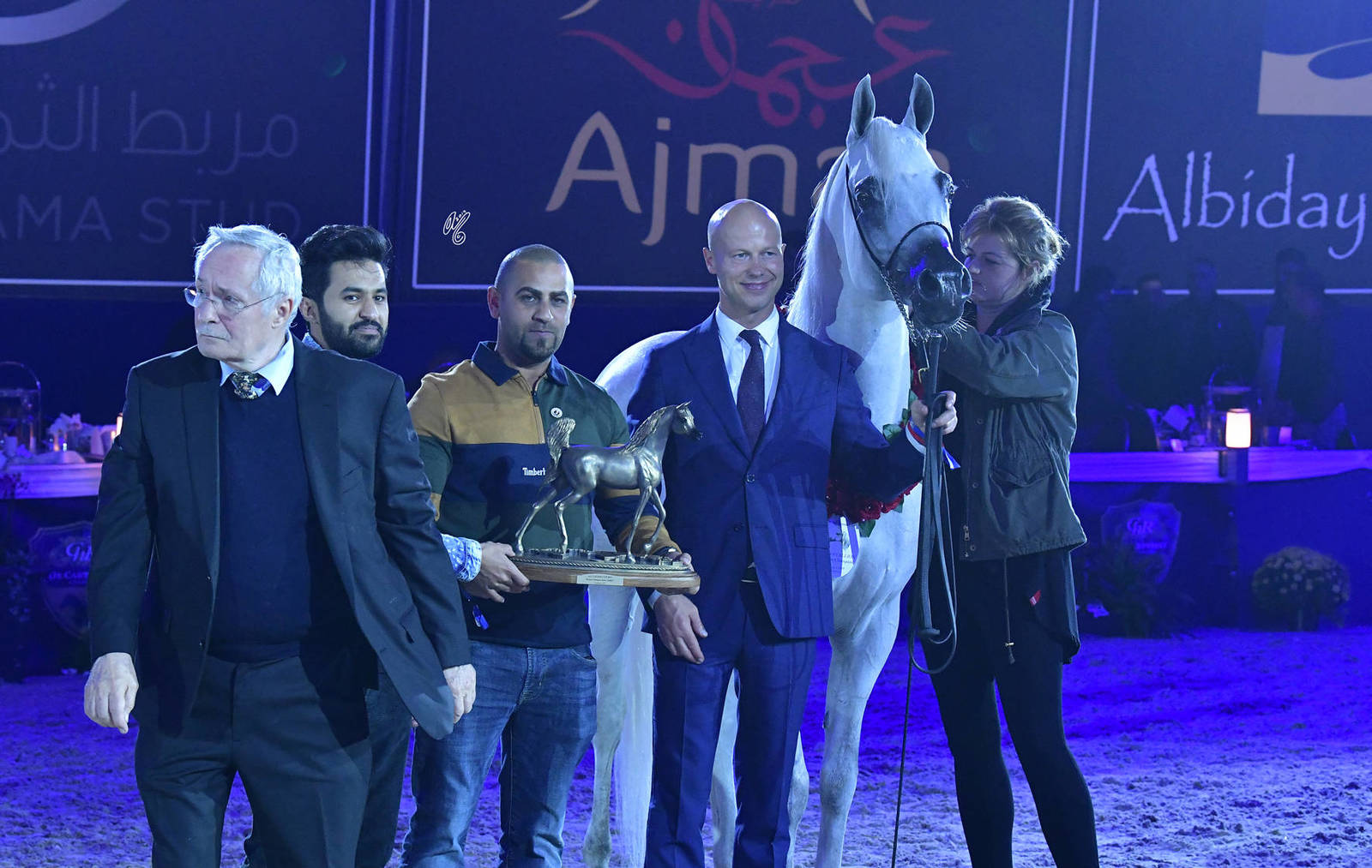 Senior Stallion Bronze Champion: Atius O (Shahim Al Nakeeb X Atia Cone)