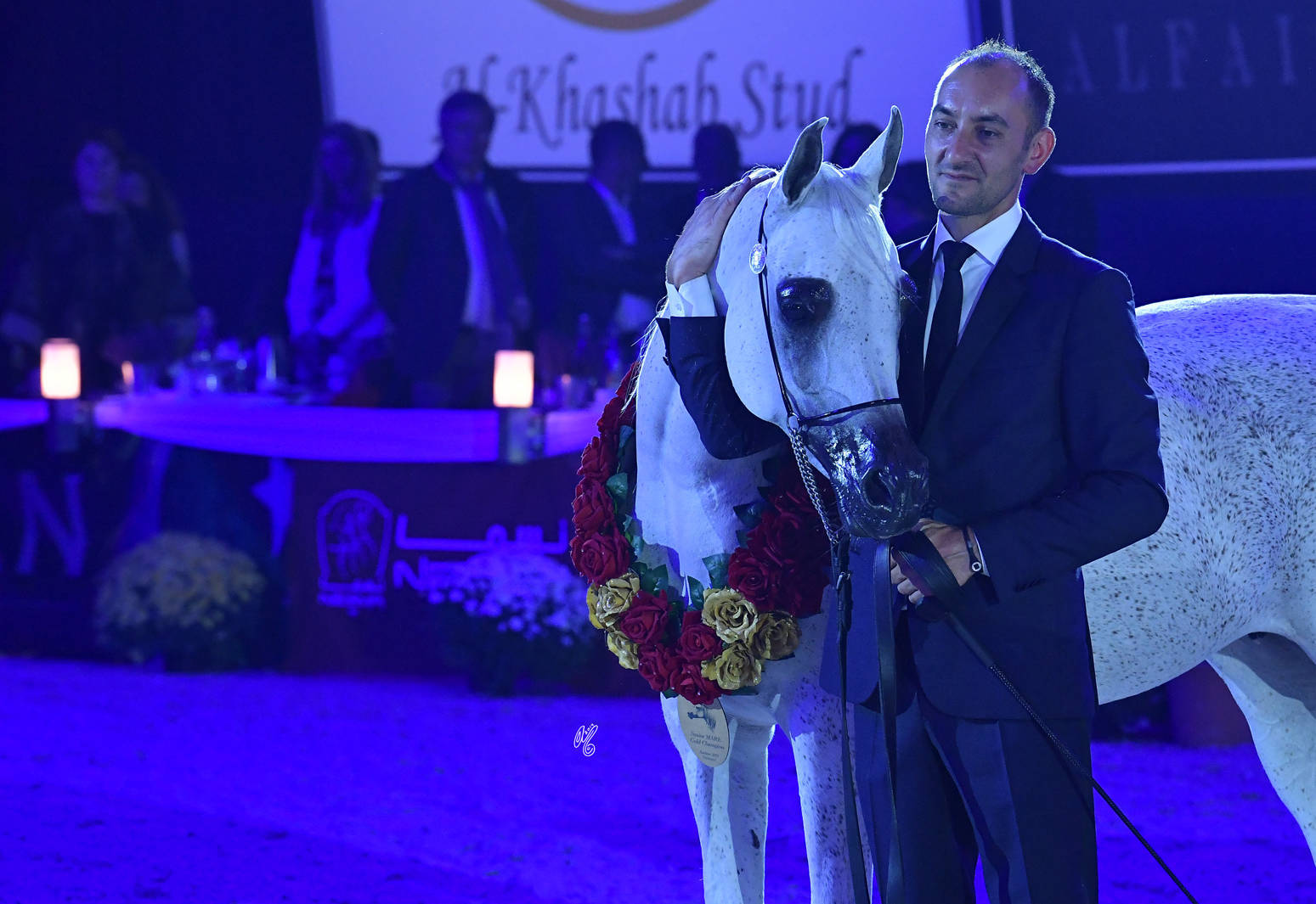 Senior Mare Gold Champion: Maisa Al Nasser (Sinan Al Rayyan X Zenubia Al Nasser)