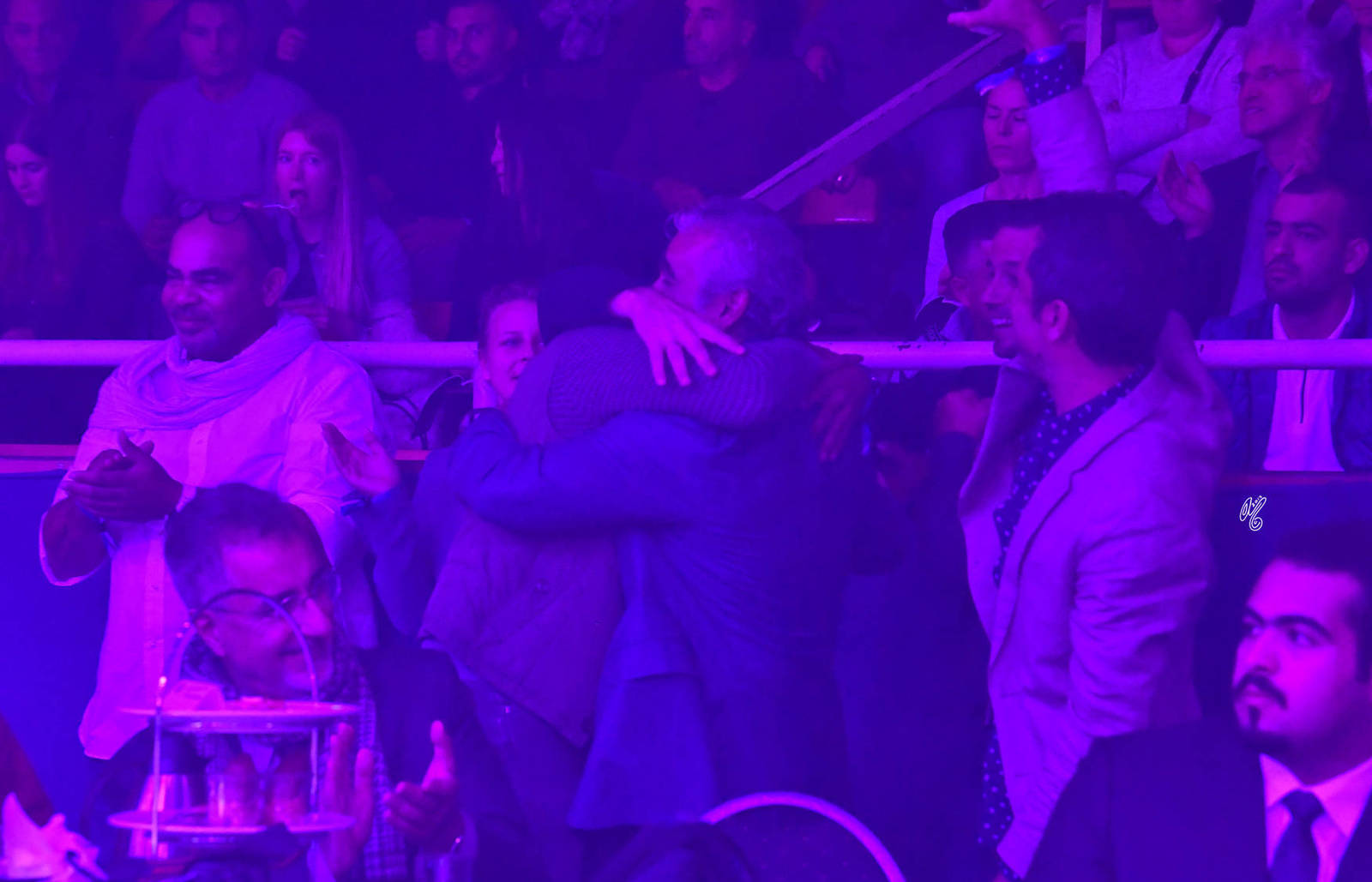 Senior Mare Gold Champion: Maisa Al Nasser (Sinan Al Rayyan X Zenubia Al Nasser)