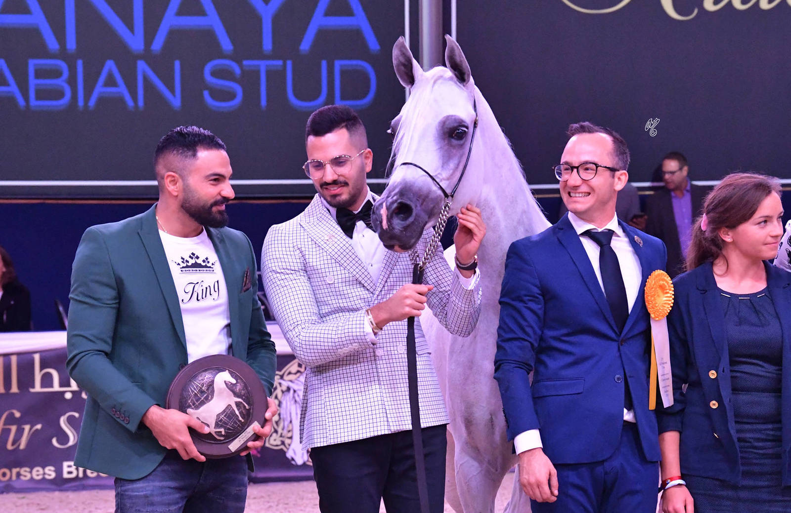 Senior Mare Bronze Champion: Wildona (Shanghai EA X Wilda)