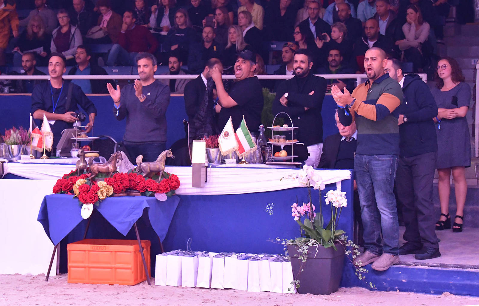 Junior Colt Gold Champion: EKS Farajj (Ibn Farid X EKS Bint Helwah)