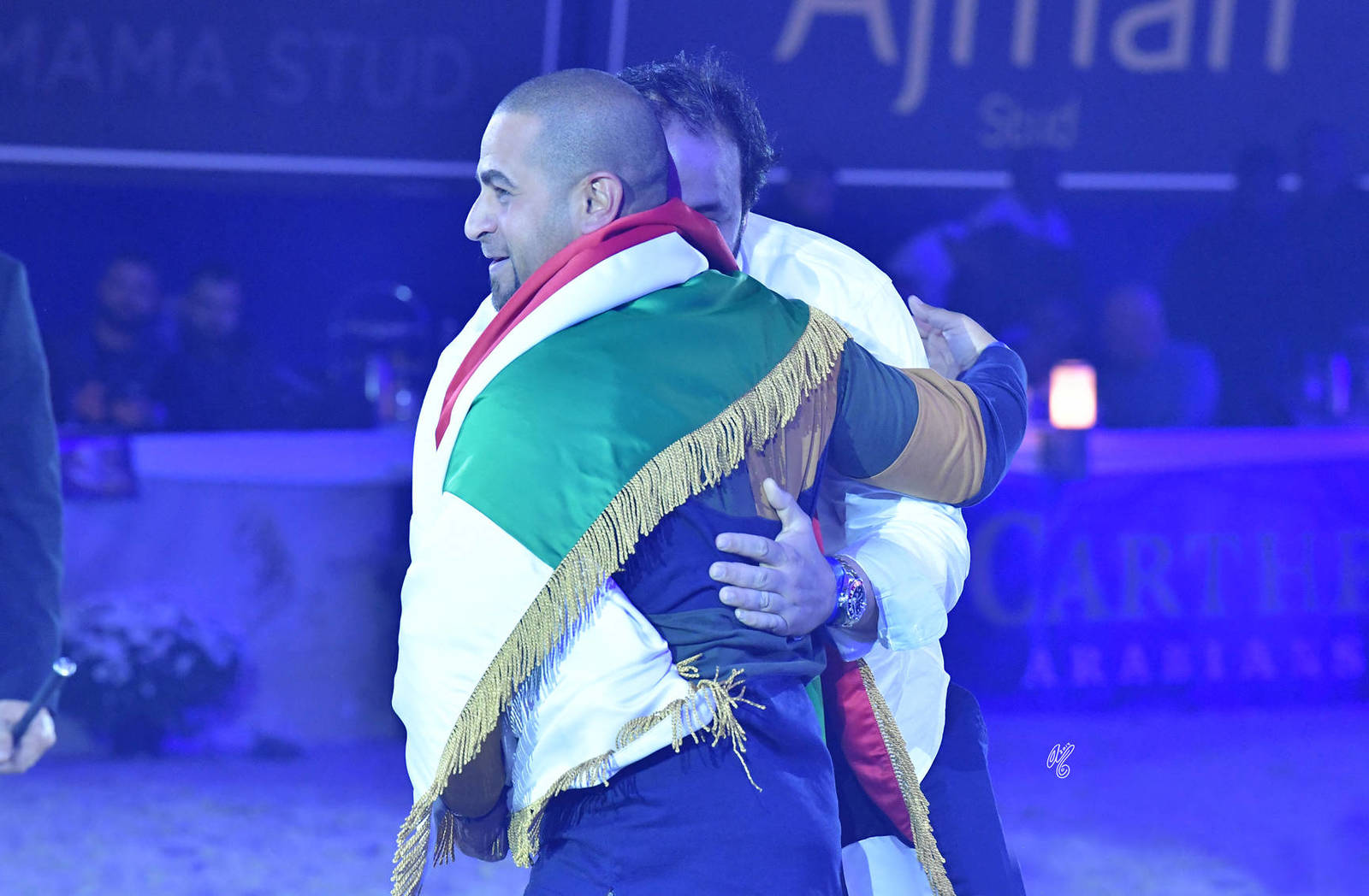 Junior Colt Gold Champion: EKS Farajj (Ibn Farid X EKS Bint Helwah)