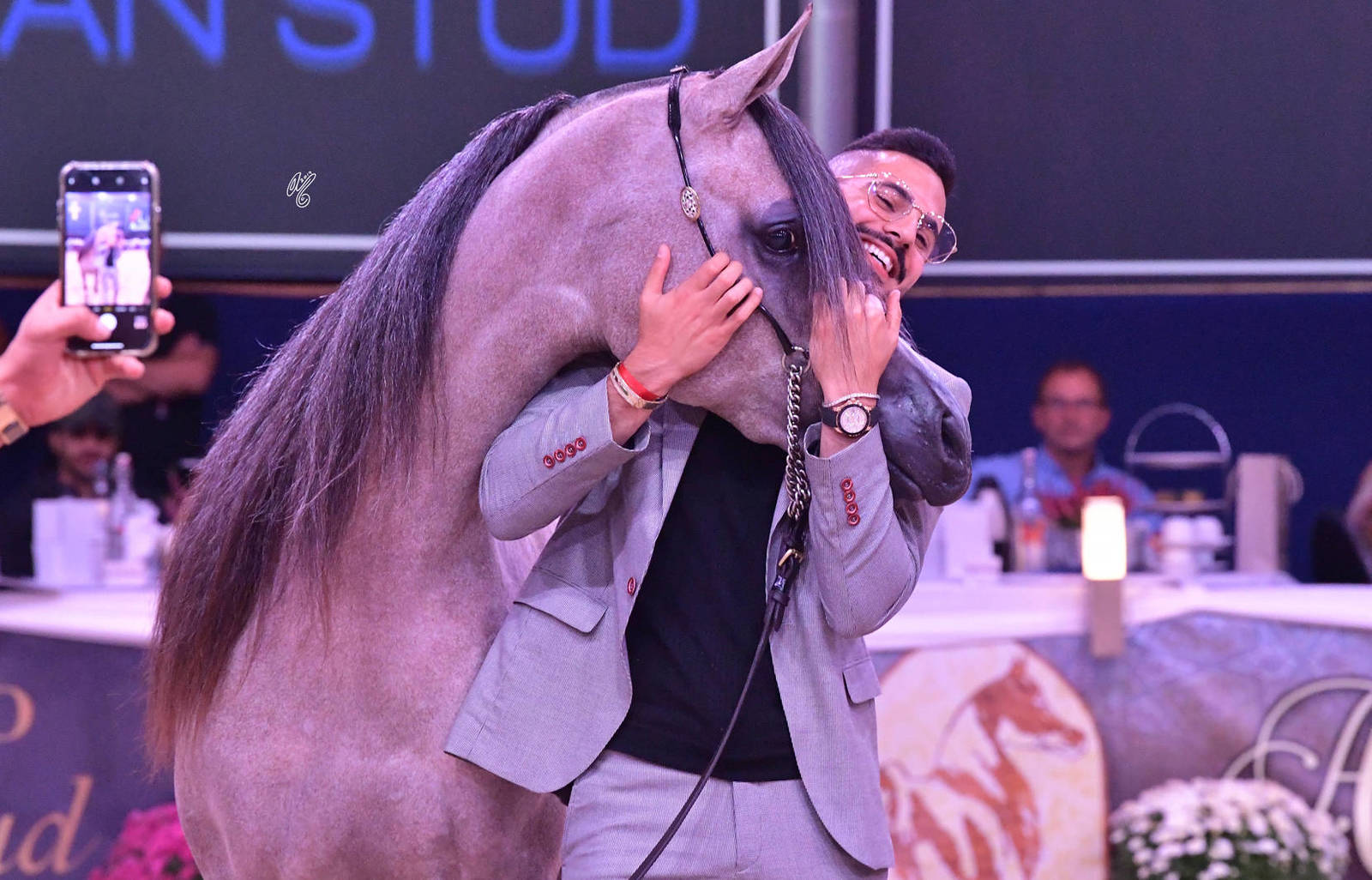 Junior Filly Gold Champion: Algamra (AJ Portofino X AVA Maryia)