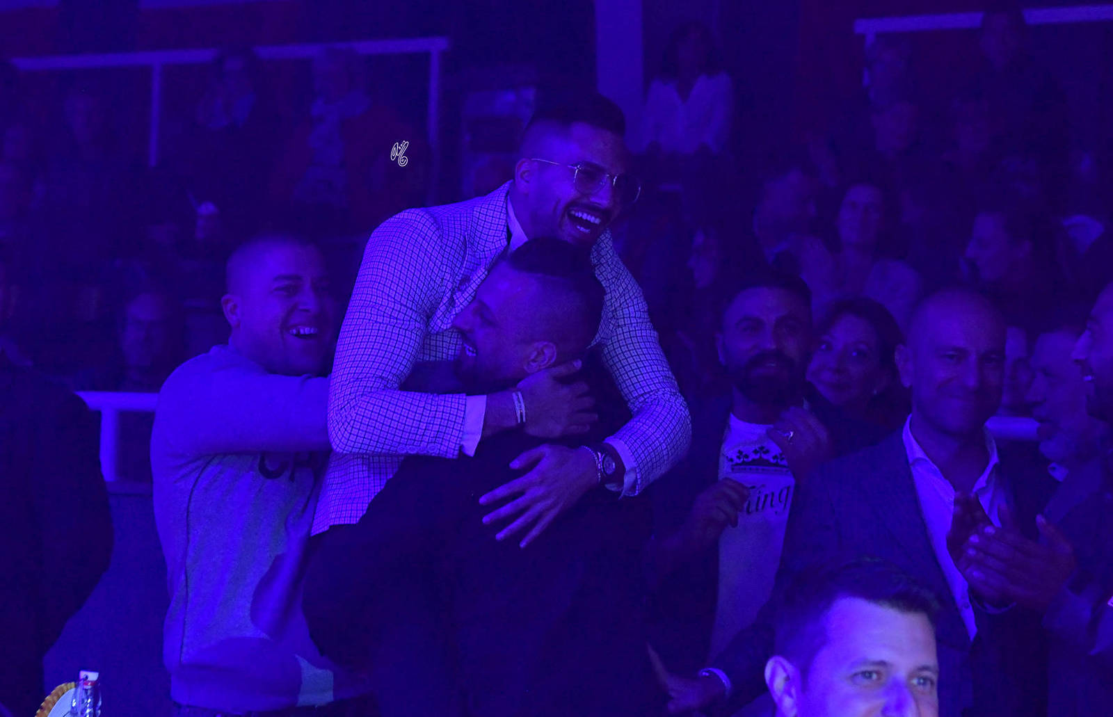 Junior Filly Gold Champion: Algamra (AJ Portofino X AVA Maryia)