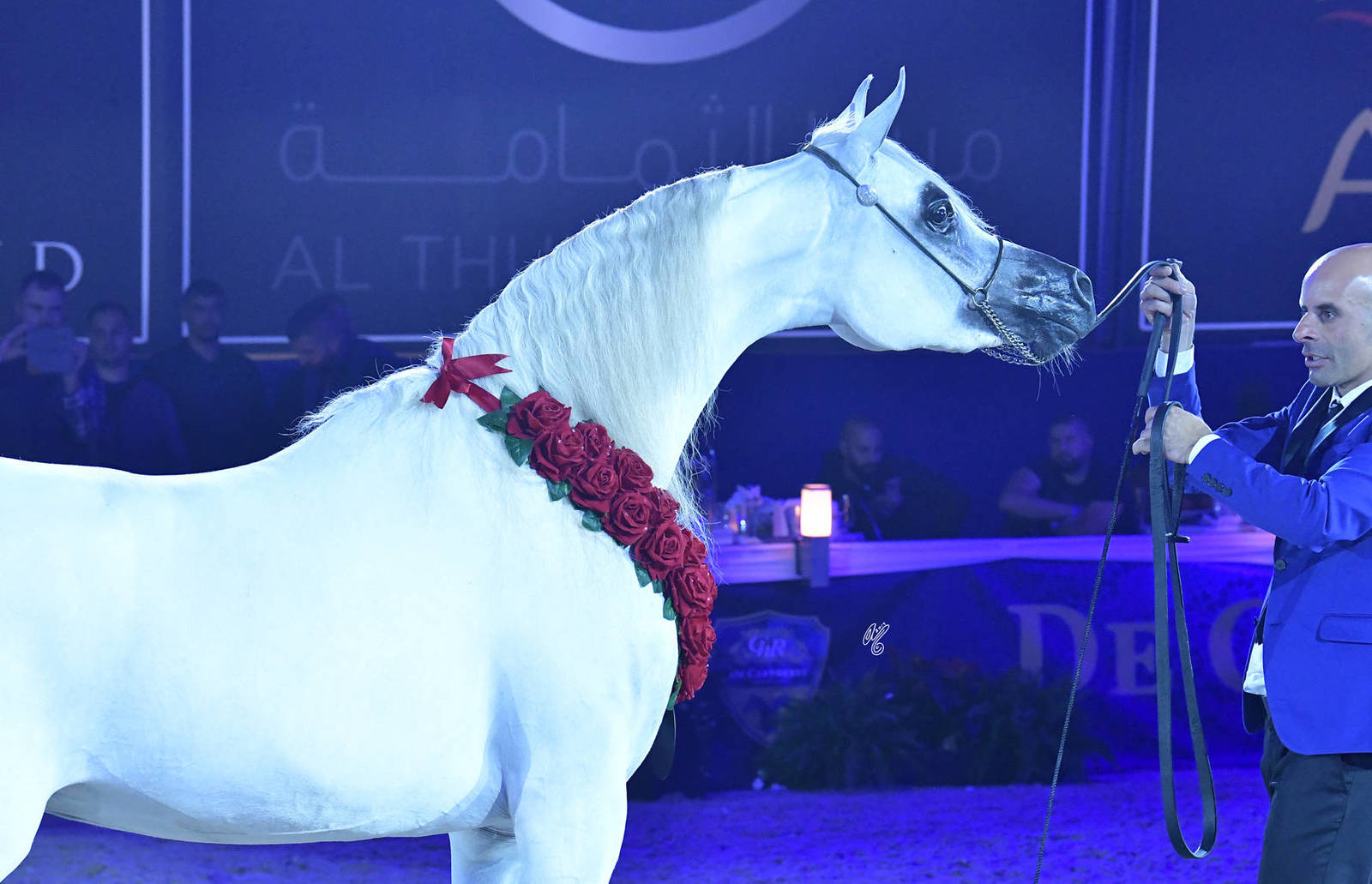 Junior Filly Silver Champion: LR ERA De Excalibur (Excalibur EA X Expected Beauty RP)