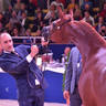 Junior Filly Bronze Champion: A Vision MI (Allegiance MI X Always Valentine MI)