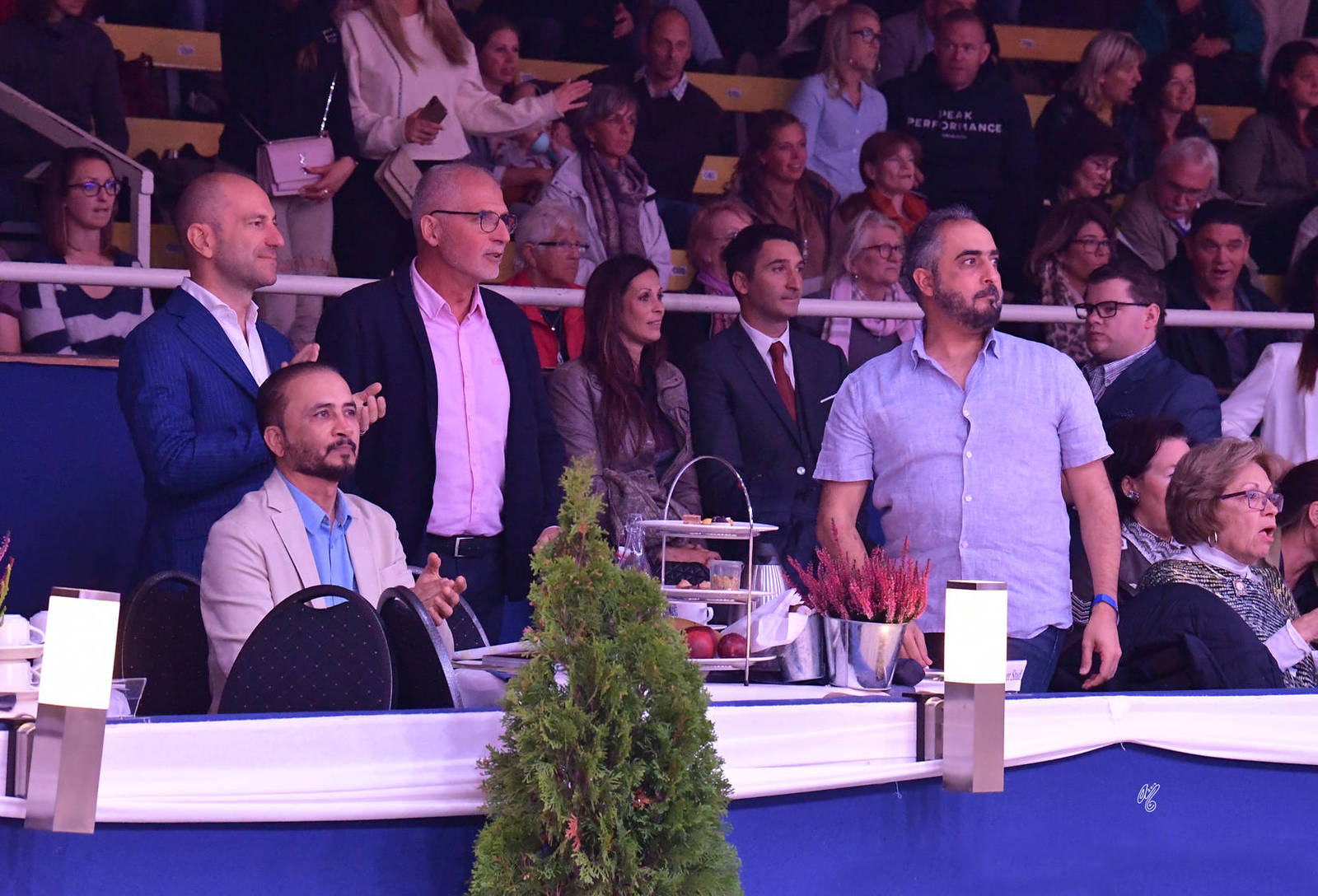 Junior Filly Bronze Champion: A Vision MI (Allegiance MI X Always Valentine MI)