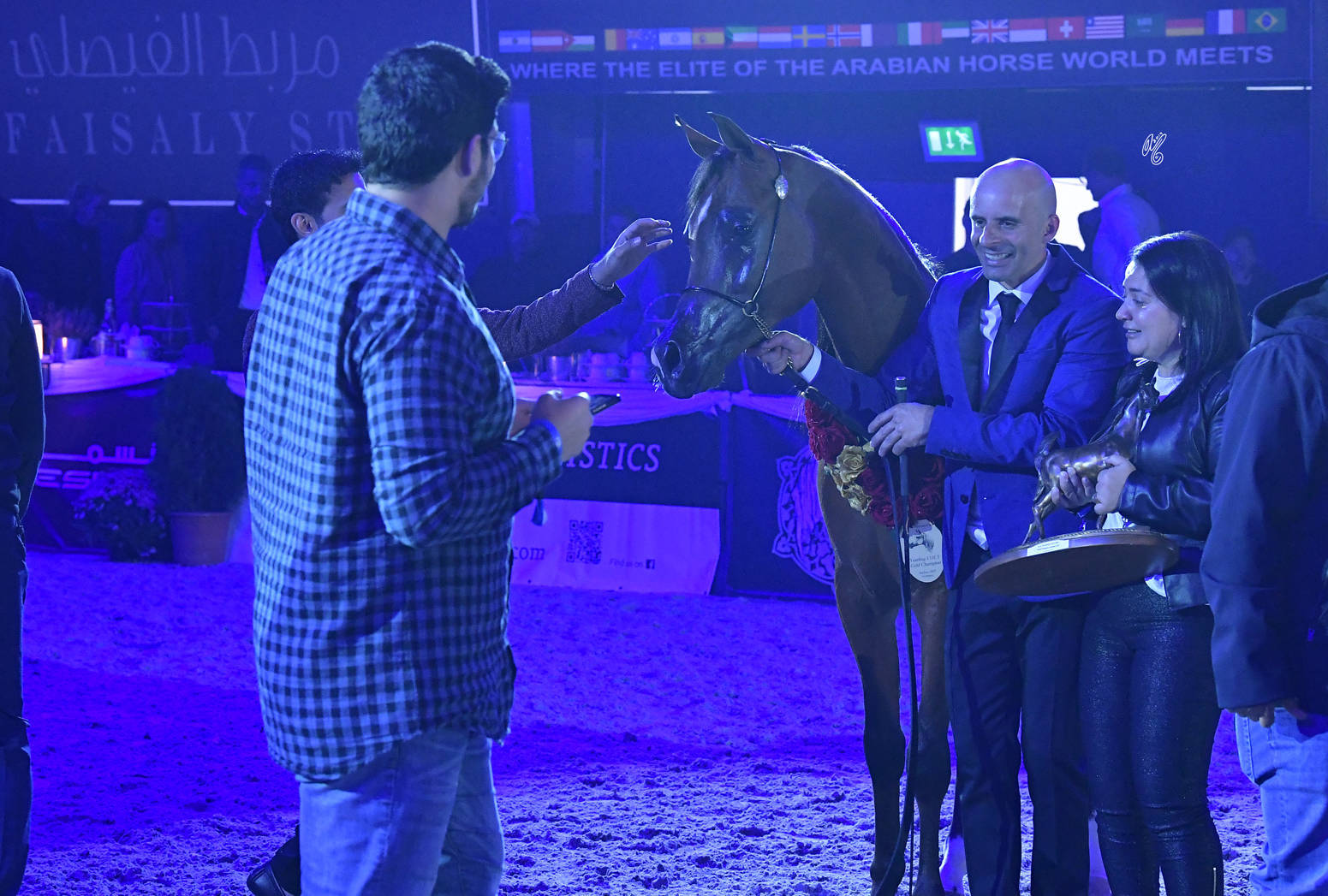 Yearling Colt Gold Champion: Dosar Alsayed (Validoro X Delight’s Divah RB)