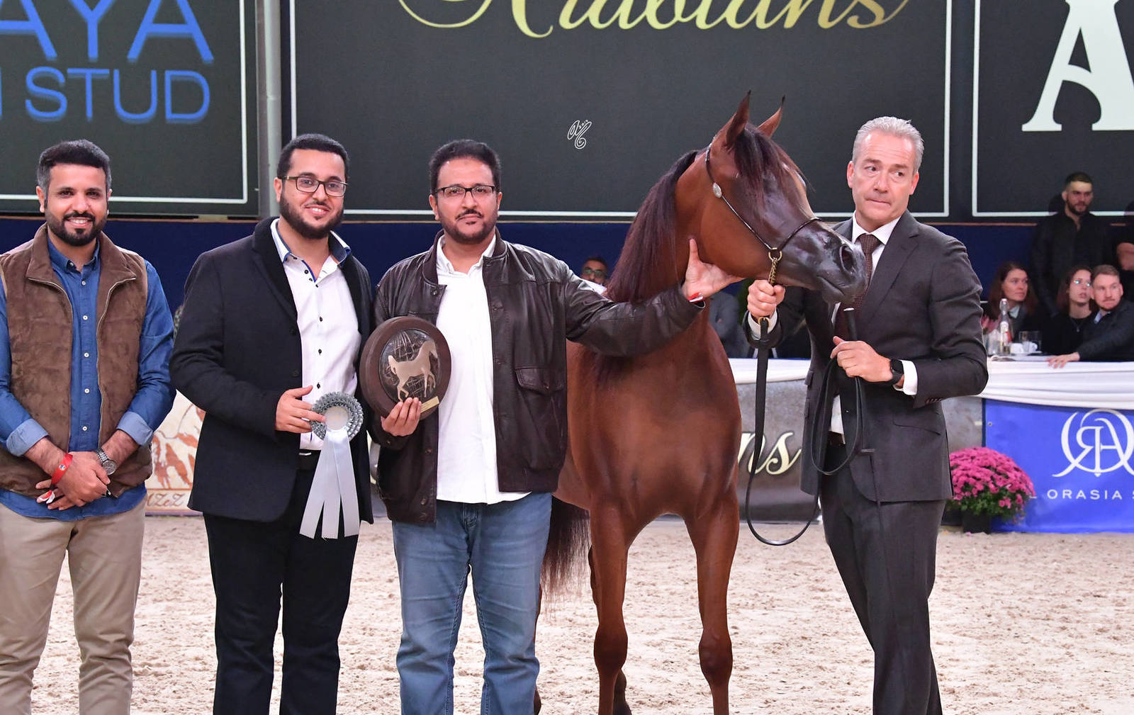 Yearling Filly Bronze Champion: Adwaa Al Arab (Emerald J X HK Jojo RLC)