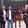 Yearling Filly Bronze Champion: Adwaa Al Arab (Emerald J X HK Jojo RLC)