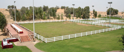 Dubai Day 6 - We spent this day touring the amazingAl Zobair Stud in Sharjah, owned byHE Sheikh Abdullah bin Mohammed Al Thani. 