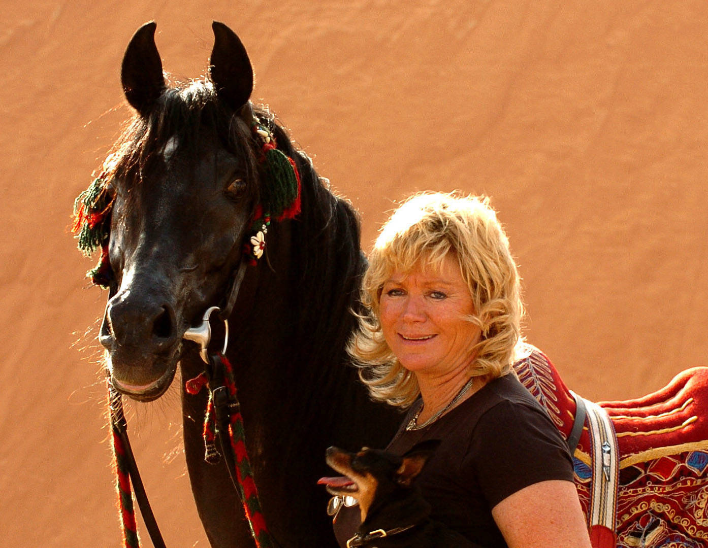 Verdieck Equine Services