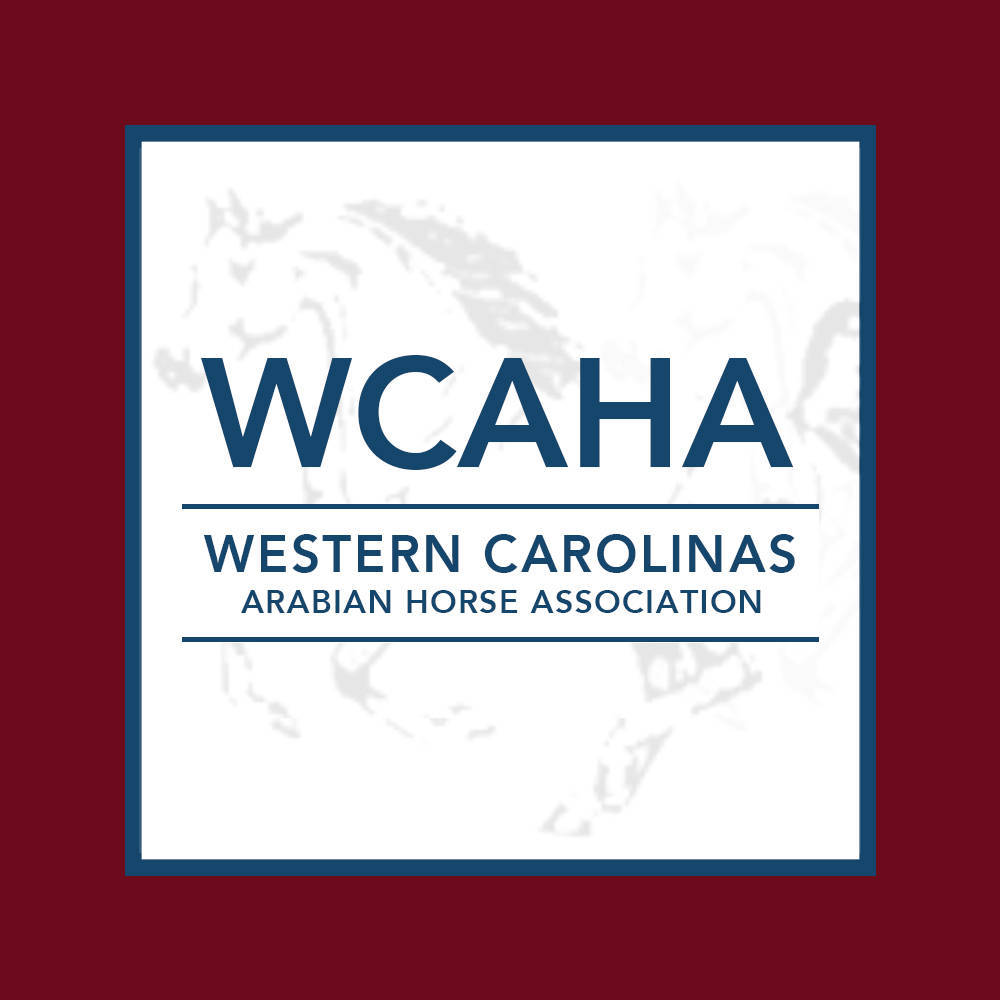 Western Carolinas Arabian Horse Association