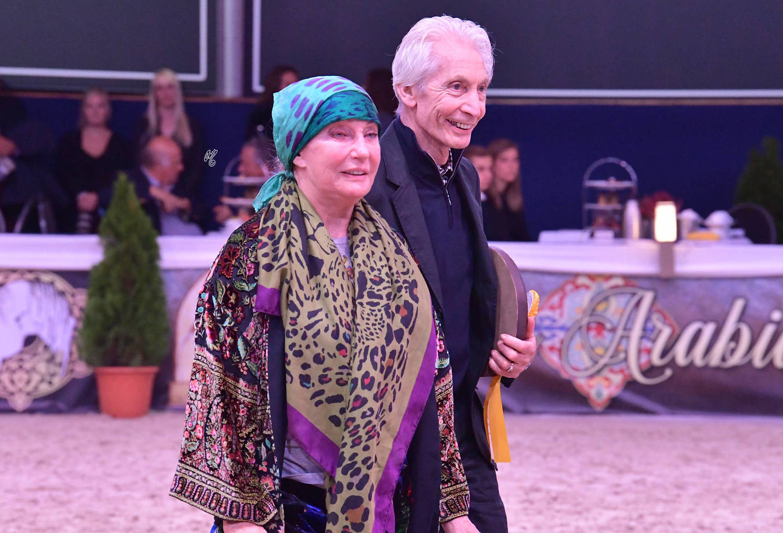 Stallions 4-6 Years Old: Calateon