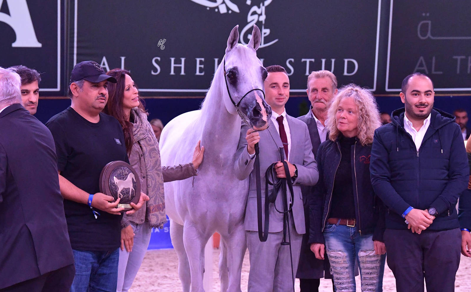 Mares 11 Years and Older: SA Minerva