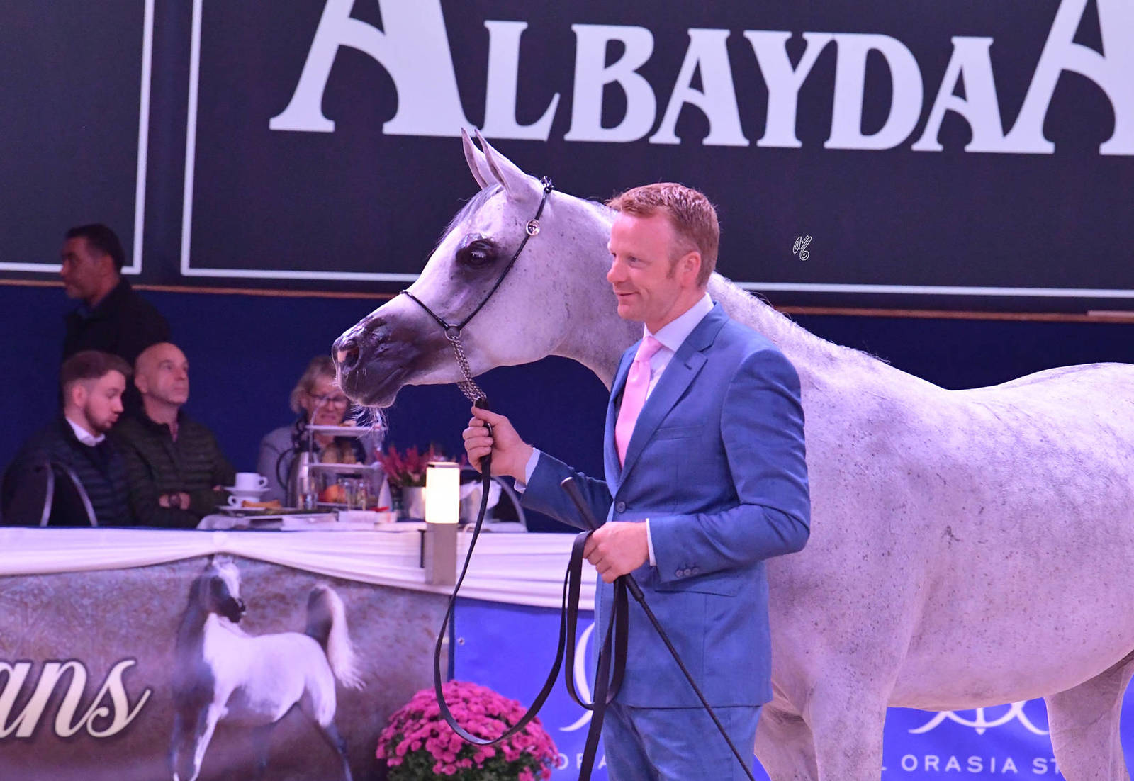 Mares 4-6 Years Old: Anawa