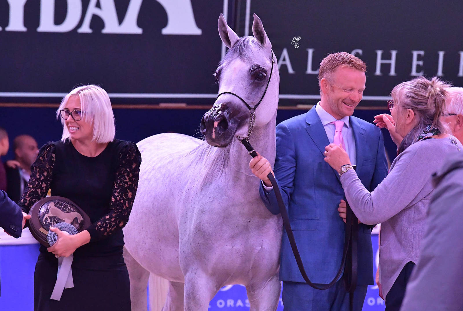 Mares 4-6 Years Old: Anawa