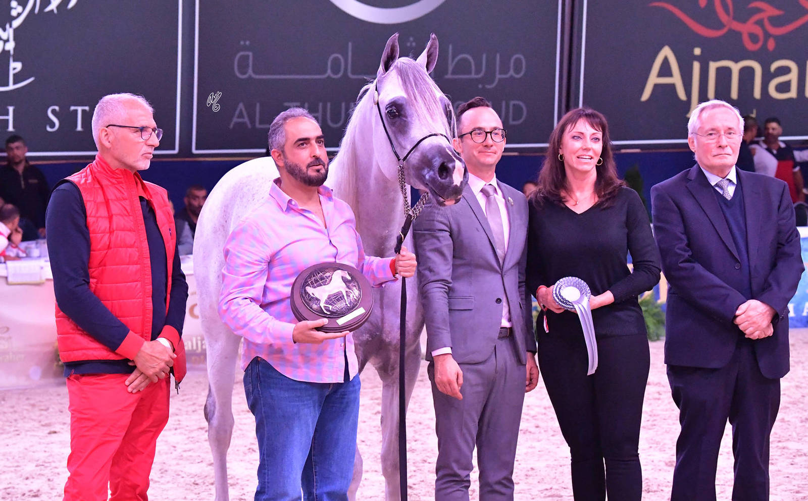 Colts 3 Years Old: Saif Albidayer