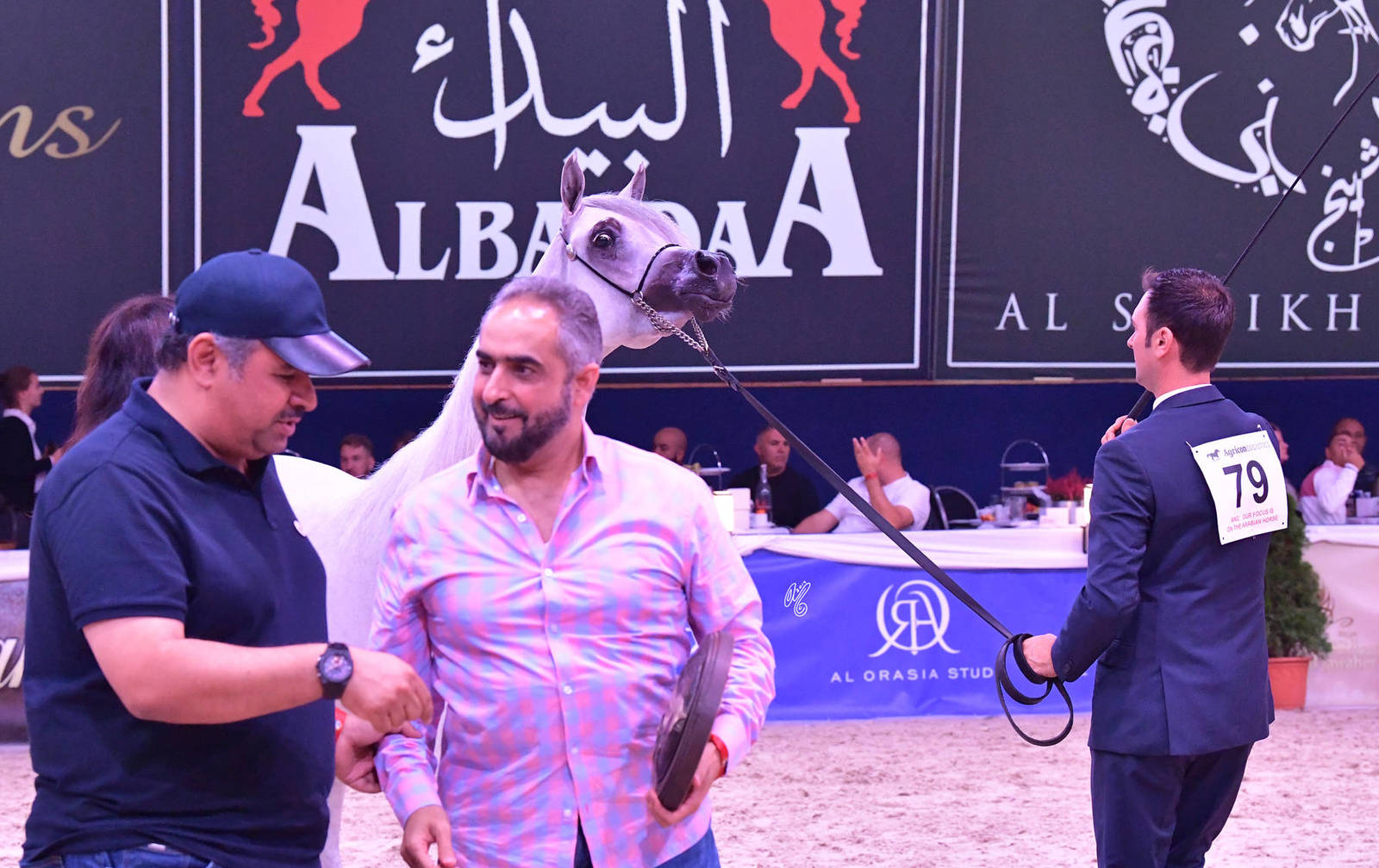 Colts 2 Years Old: Sinmar Albidayer