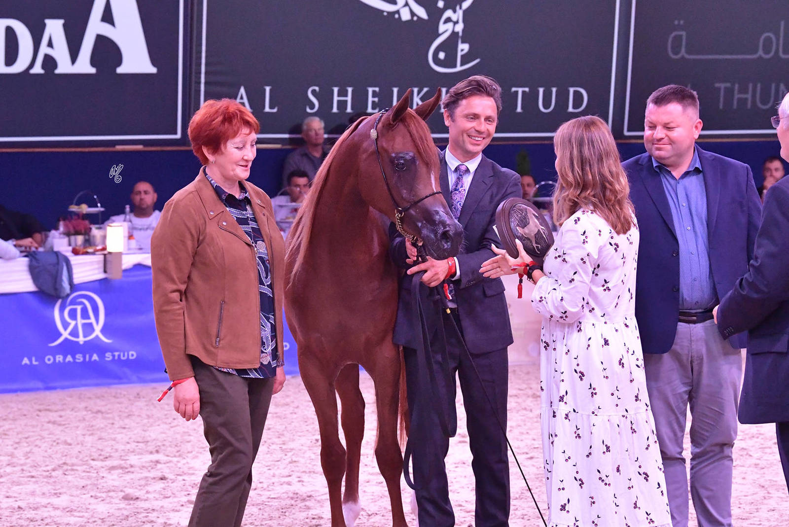 Fillies 2 Years Old: Encarina