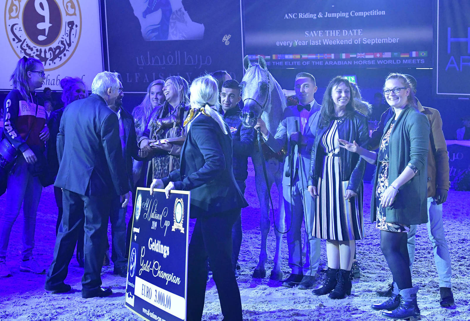 Geldings 6 Years Plus: EM Polar