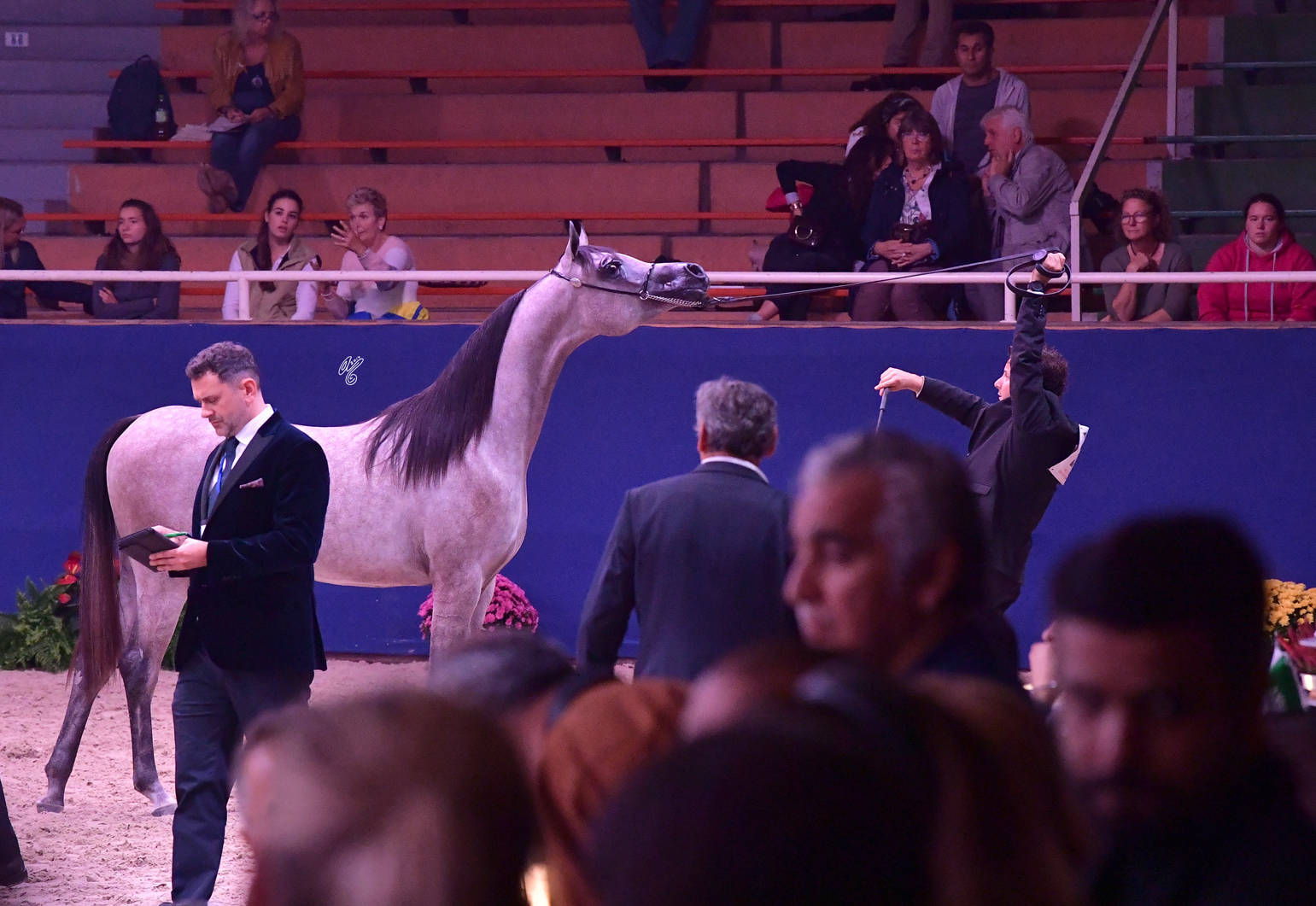 Yearling Filly: Lubna Al Firas