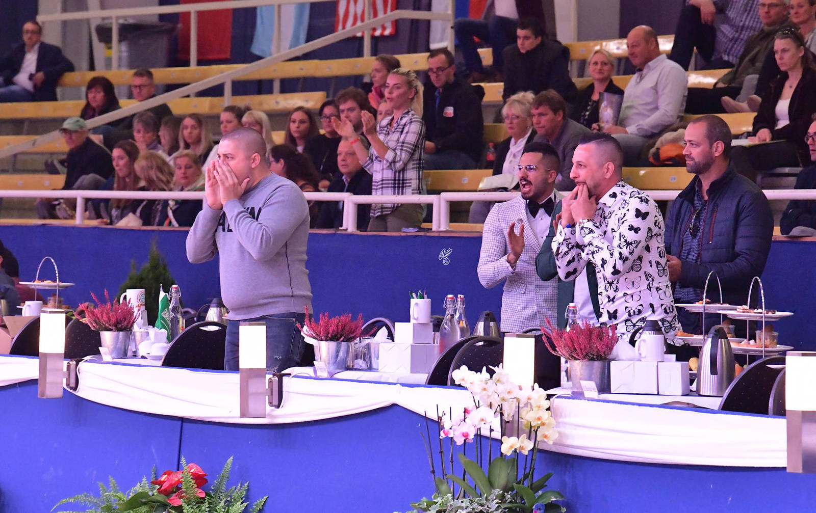 Senior Mare Bronze Champion: Wildona (Shanghai EA X Wilda)