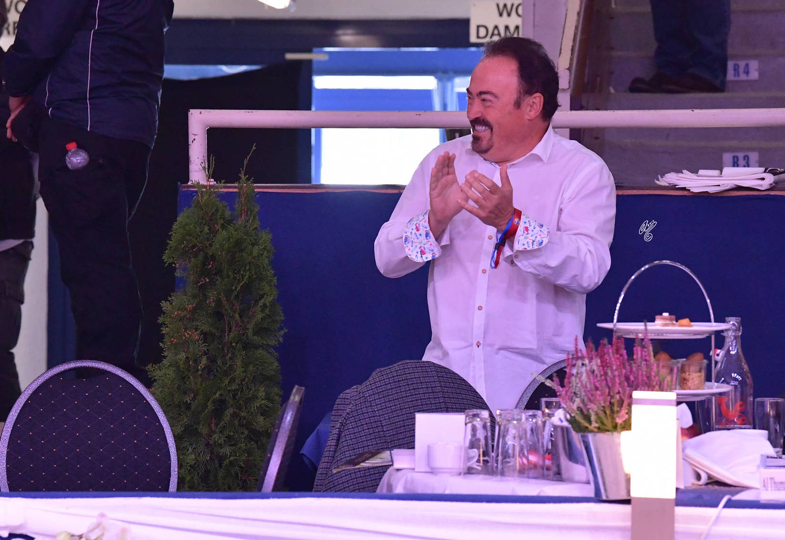 Senior Stallion Gold Champion: Shanghai EA (WH Justice X Salymah EA)