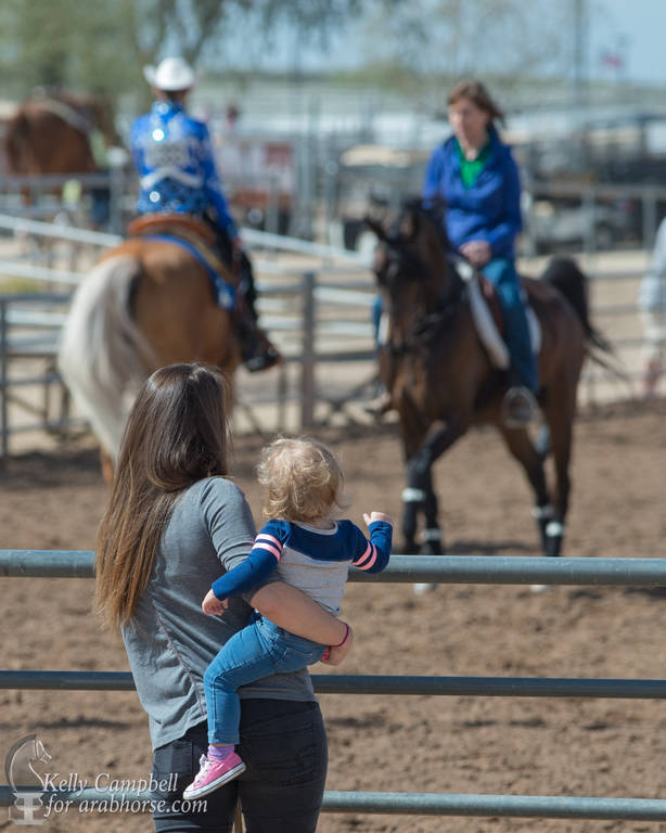 2017 Scottsdale Photos by Kelly Campbell 