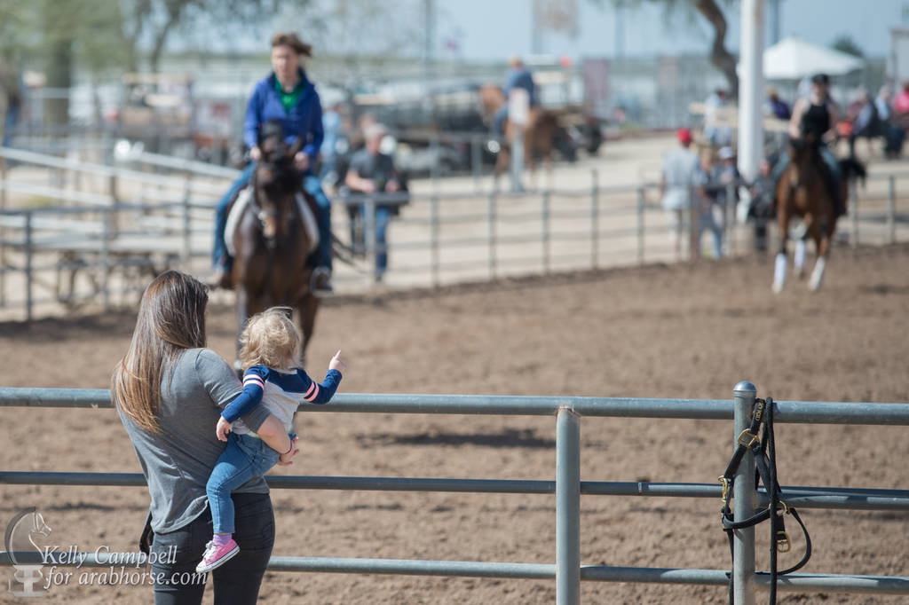 2017 Scottsdale Photos by Kelly Campbell 