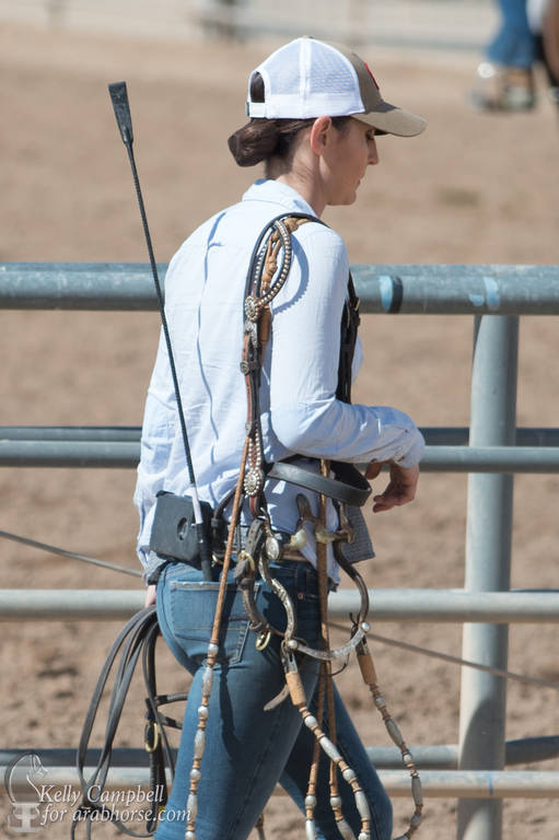 2017 Scottsdale Photos by Kelly Campbell 