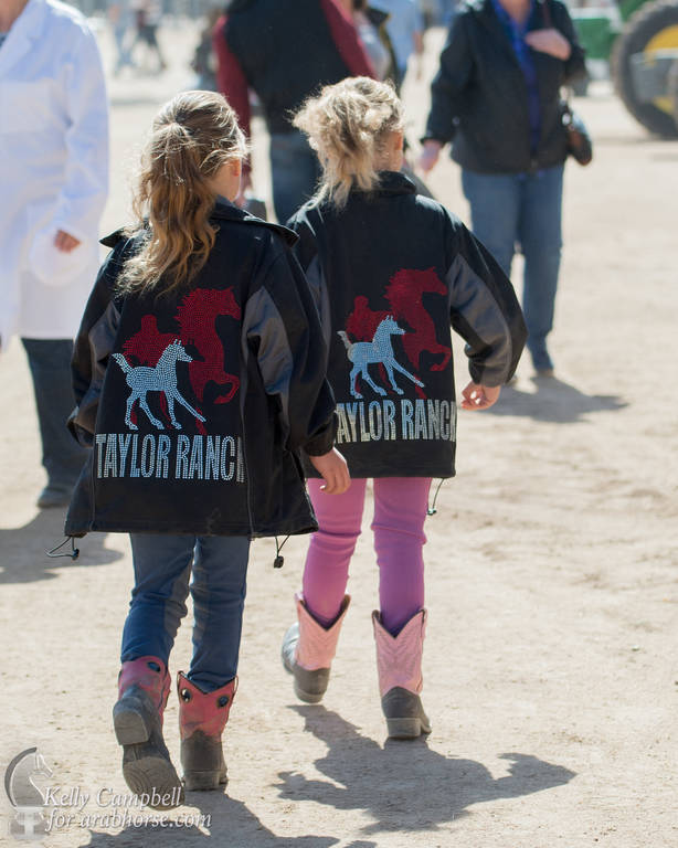 2017 Scottsdale Photos by Kelly Campbell 