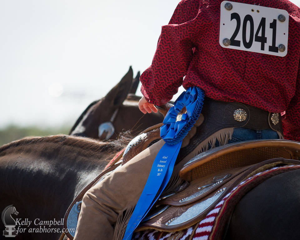 2017 Scottsdale Photos by Kelly Campbell 