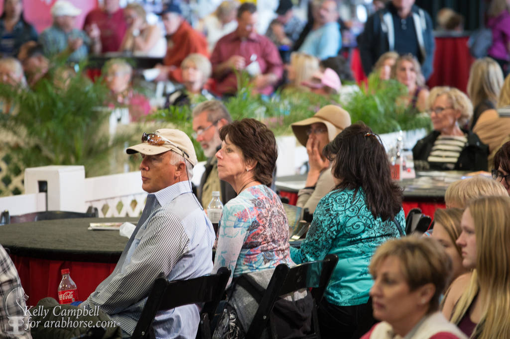 2017 Scottsdale Photos by Kelly Campbell 