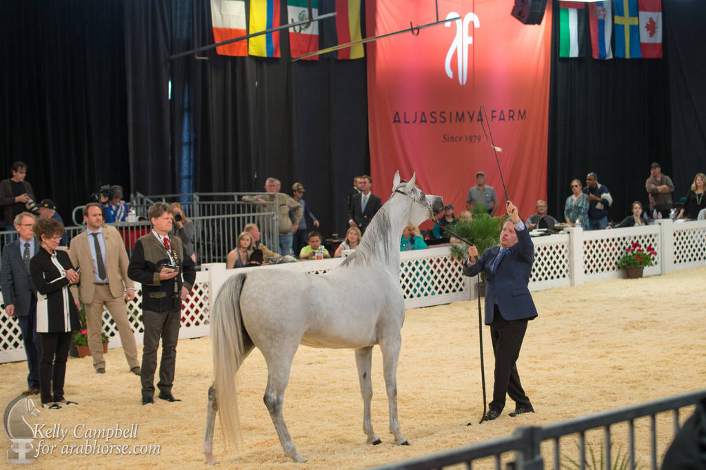 2017 Scottsdale Photos by Kelly Campbell 