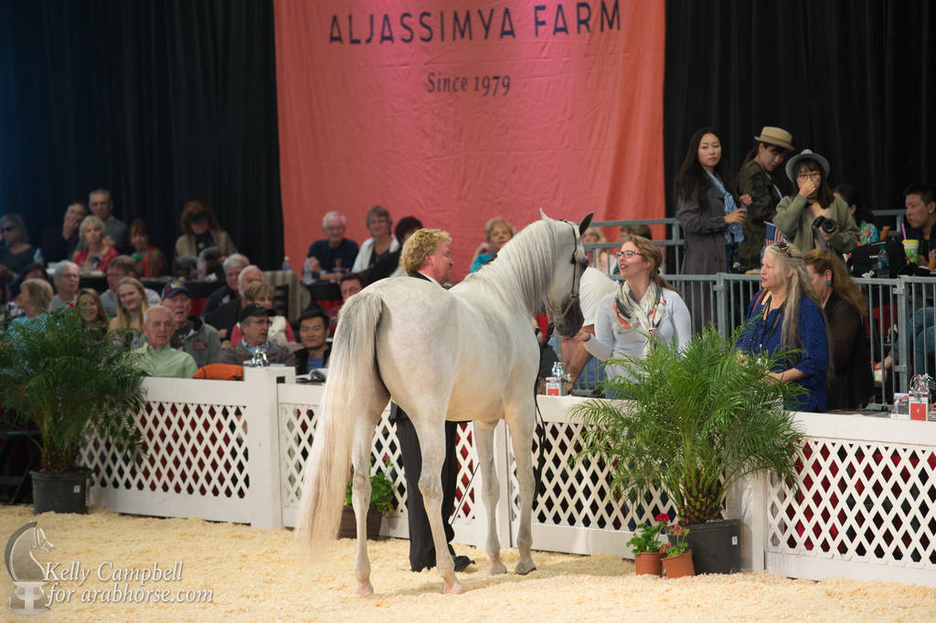 2017 Scottsdale Photos by Kelly Campbell 