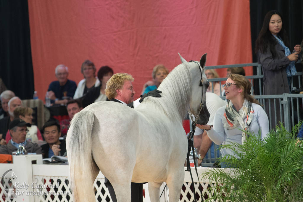 2017 Scottsdale Photos by Kelly Campbell 