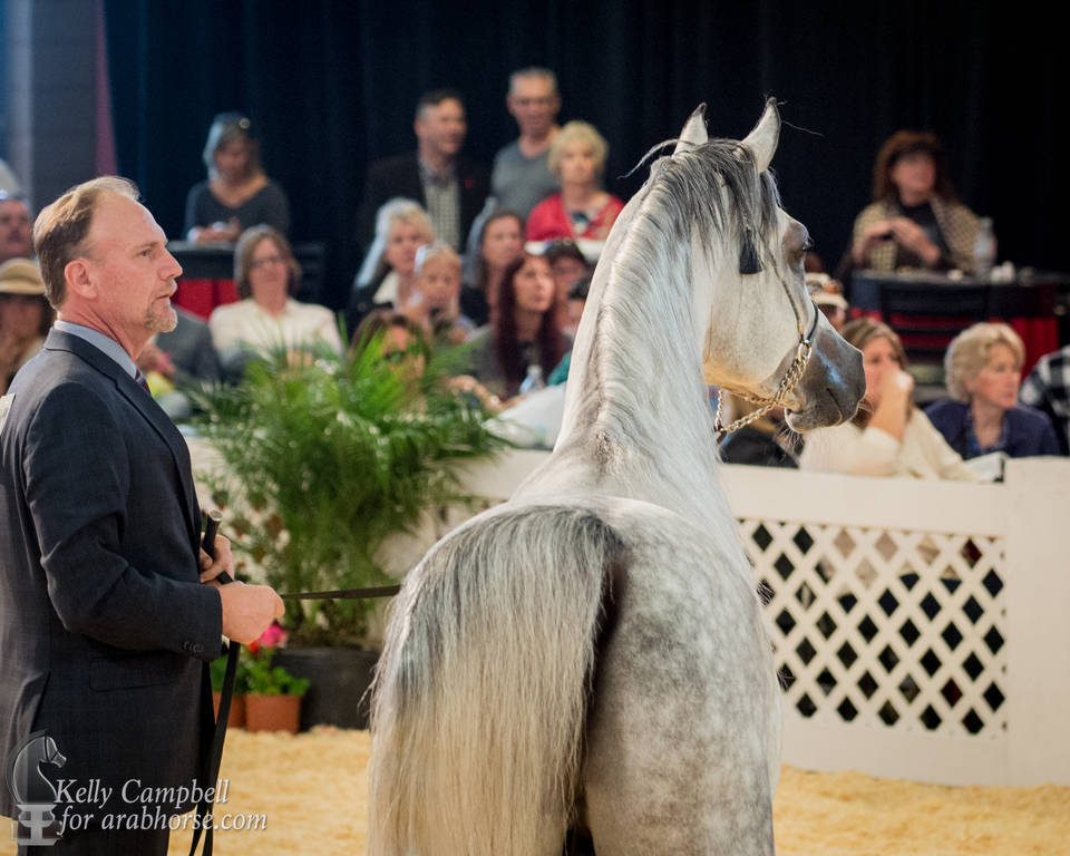 2017 Scottsdale Photos by Kelly Campbell 