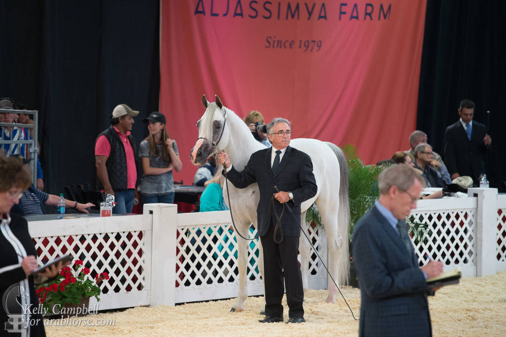 2017 Scottsdale Photos by Kelly Campbell 