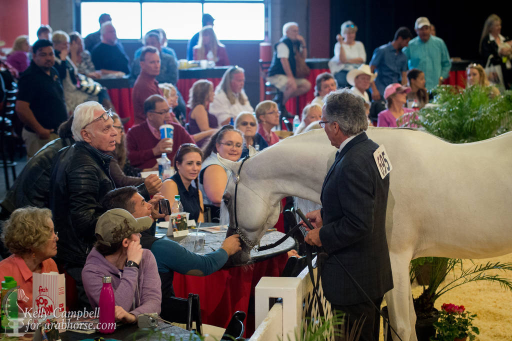 2017 Scottsdale Photos by Kelly Campbell 