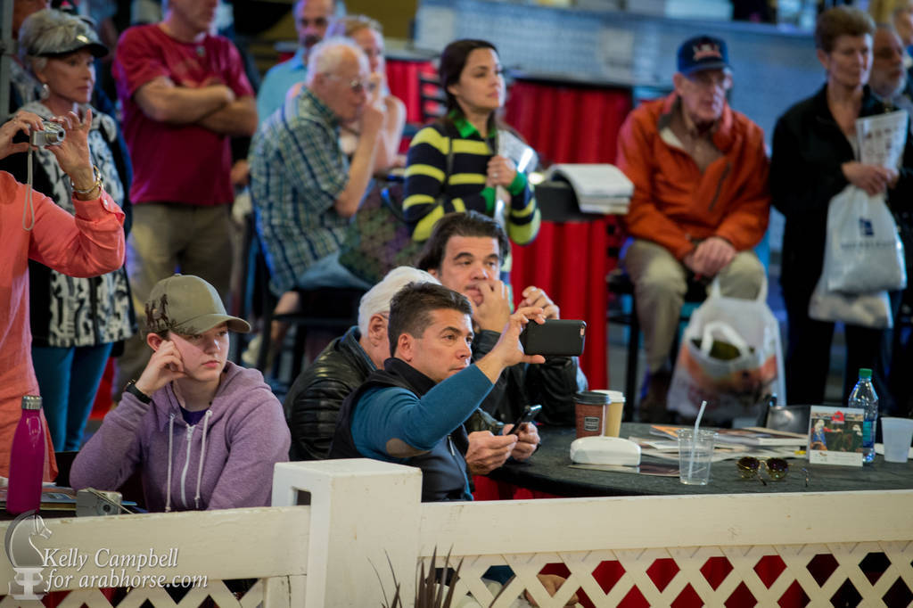 2017 Scottsdale Photos by Kelly Campbell 