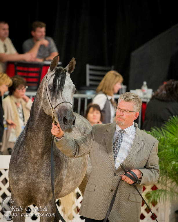 2017 Scottsdale Photos by Kelly Campbell 