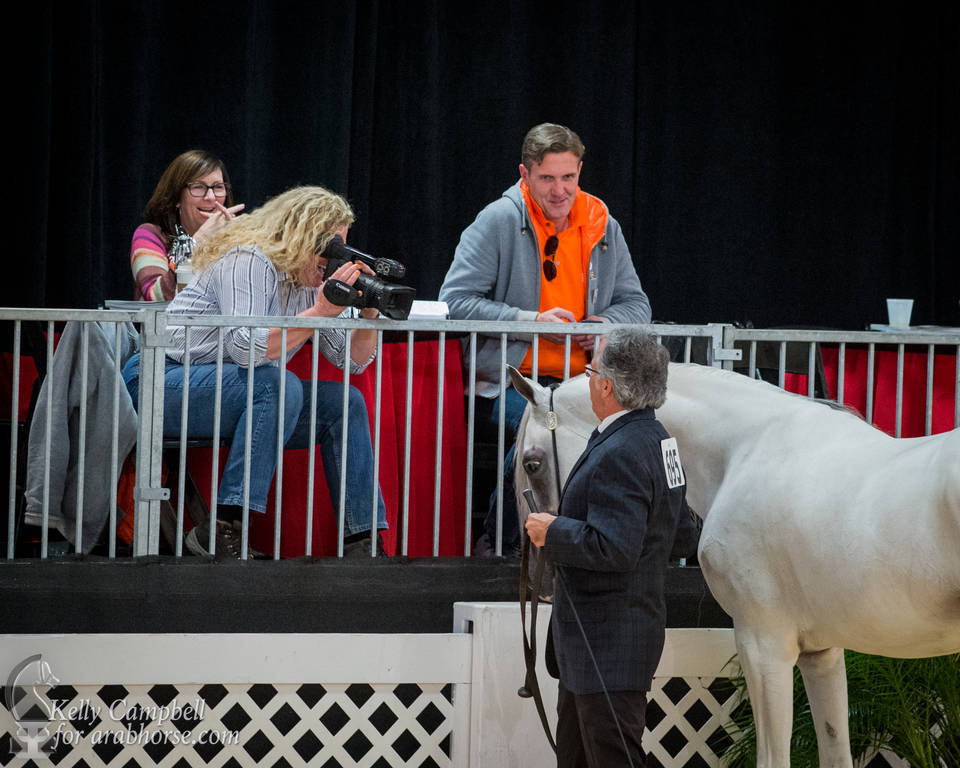 2017 Scottsdale Photos by Kelly Campbell 