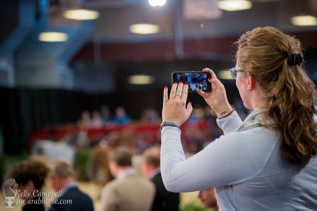 2017 Scottsdale Photos by Kelly Campbell 