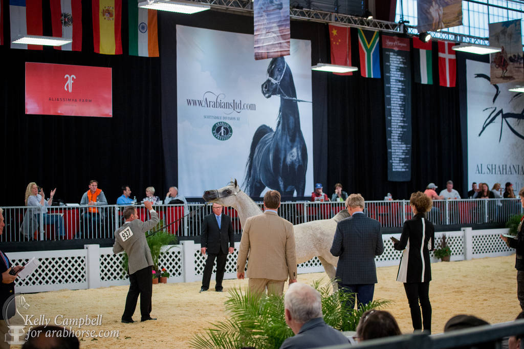 2017 Scottsdale Photos by Kelly Campbell 