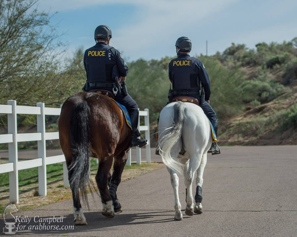 2017 Scottsdale Photos by Kelly Campbell 