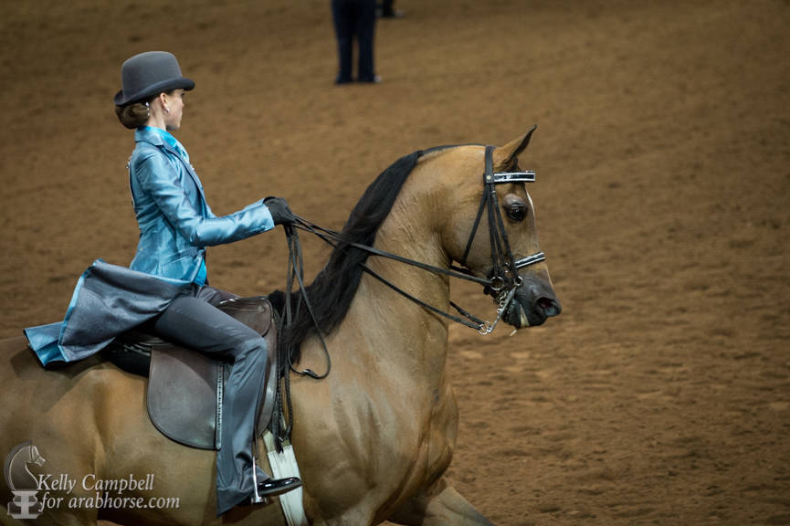 2017 Scottsdale Photos by Kelly Campbell 