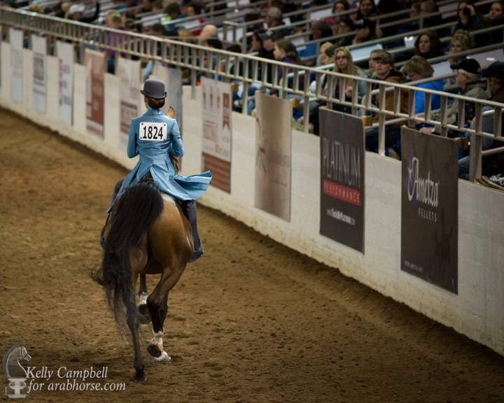 2017 Scottsdale Photos by Kelly Campbell 